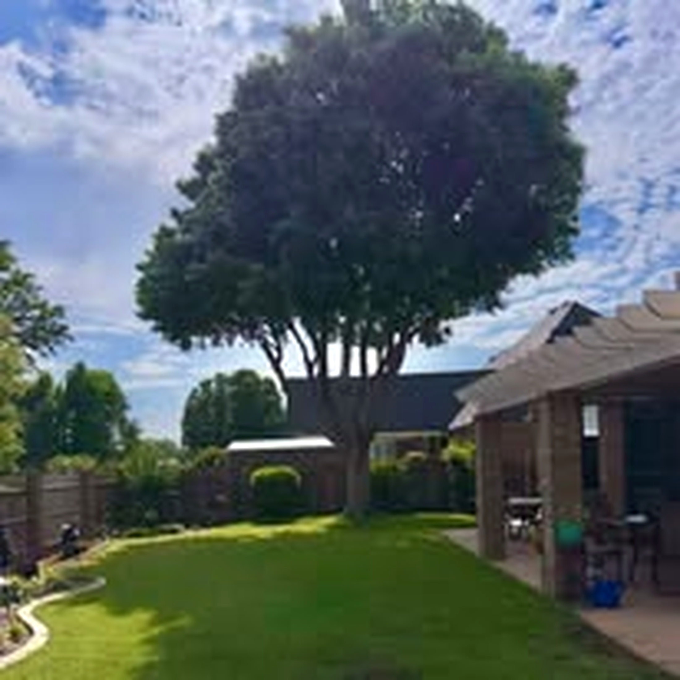 Landscape work