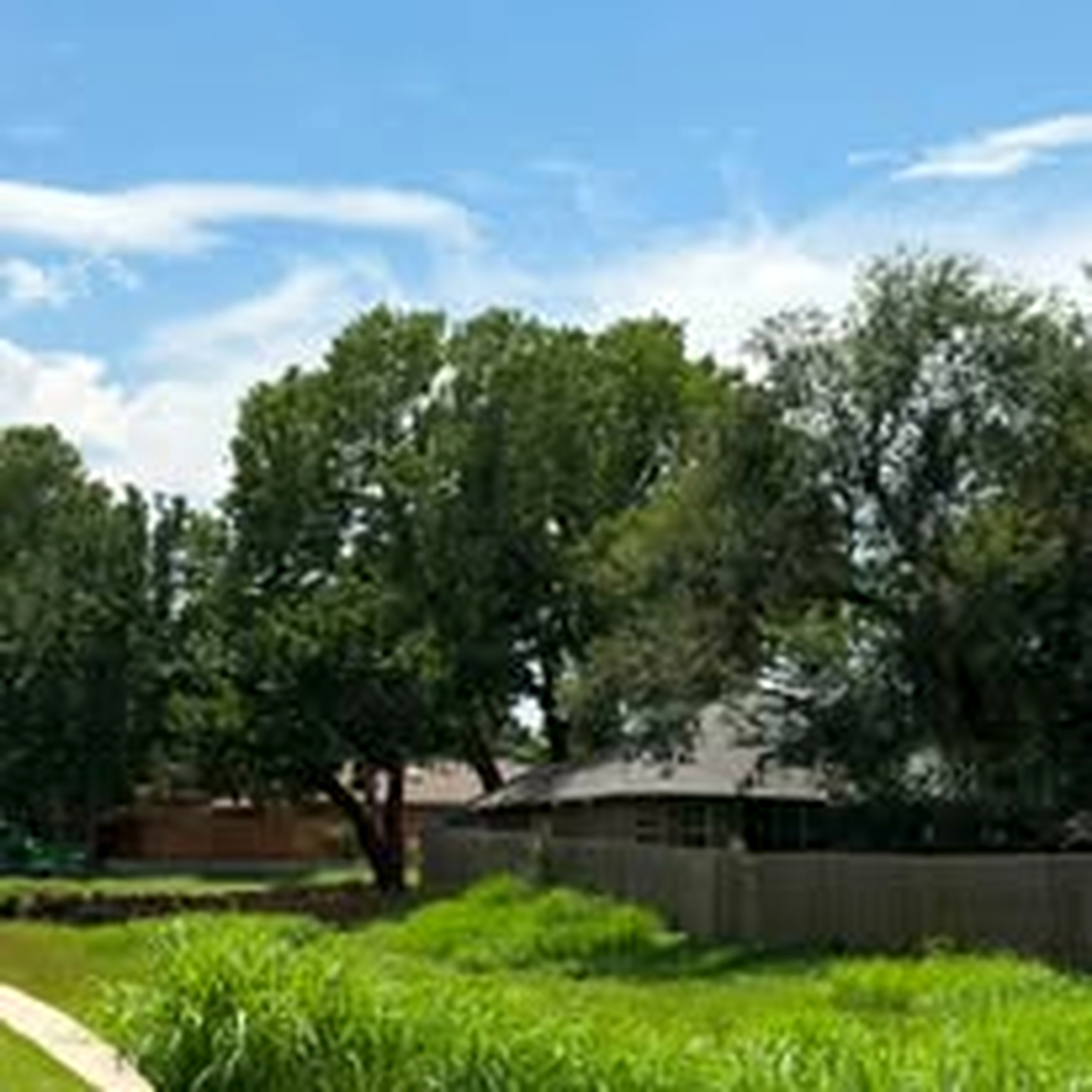 Tree work